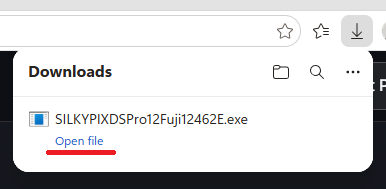 The Open file link shown after the download is complete in Microsoft Edge