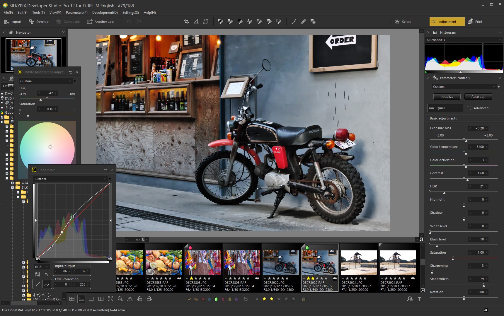 SILKYPIX interface and evening landscape photo