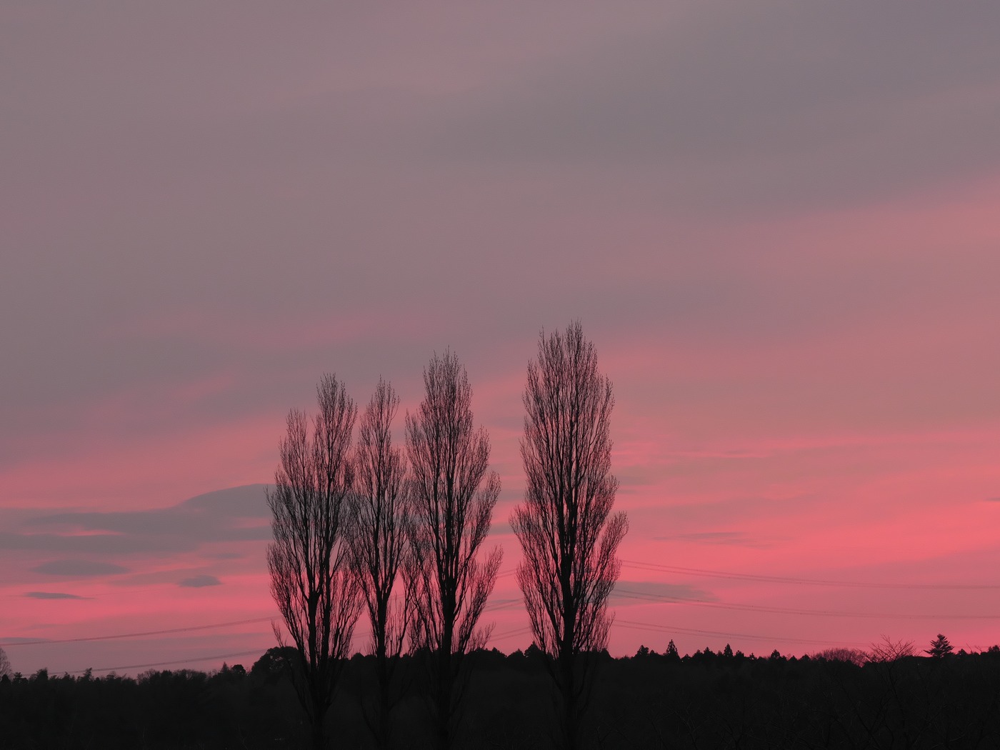 Adjustment example 1 from the same RAW data