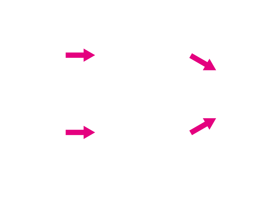 Workflow showing the difference between JPEG and RAW shooting, then adjustment and development in SILKYPIX