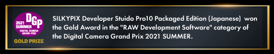 DGP2021