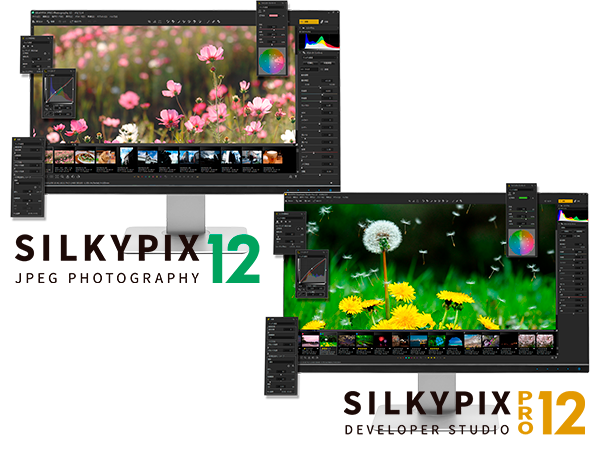 SILKYPIX Developer Studio Pro12