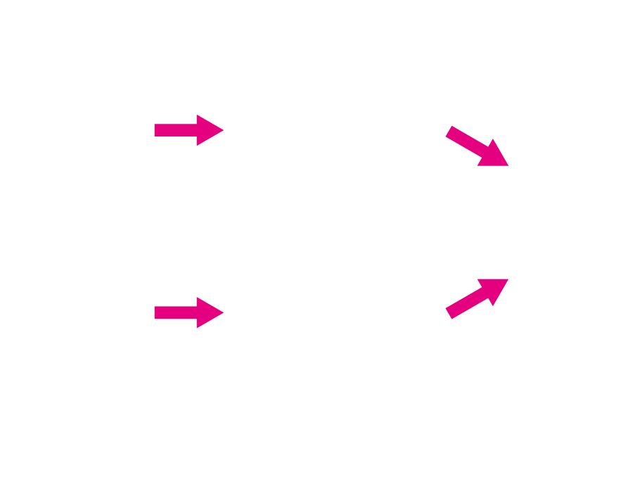 JPEG撮影とRAW撮影の違い、SILKYPIXで調整・現像してJPEGまたはTIFFとして書き出す流れ