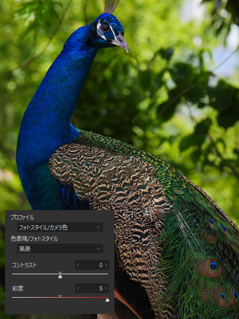 作例: フォトスタイル 風景