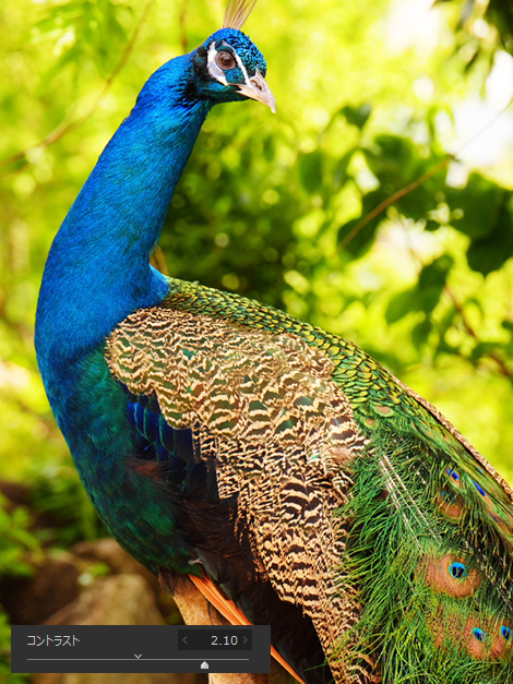 作例: 調子 コントラスト 2.1