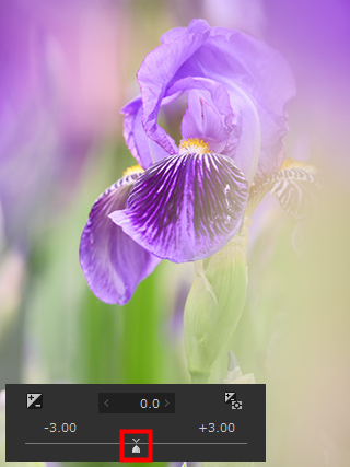作例: 露出 補正なし