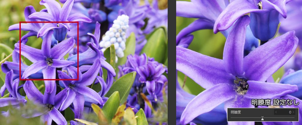 作例: 明瞭度設定なし