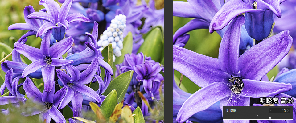 作例: 明瞭度高め