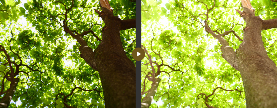 作例: 露出補正（明るさの調整）