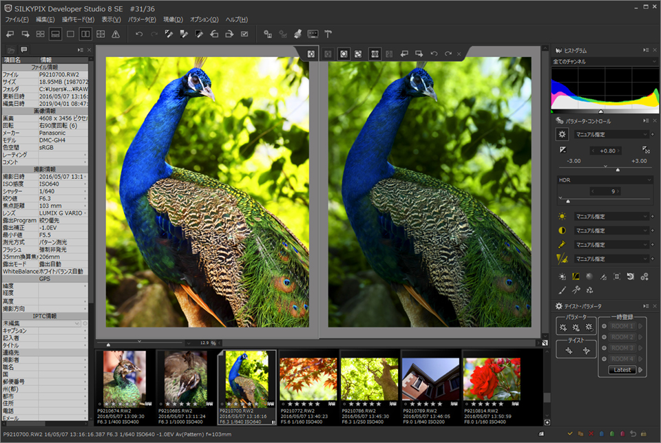 フォルダ内の同時記録JPEGとRAWデータ