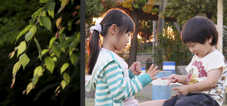 作例: 高ISO感度撮影