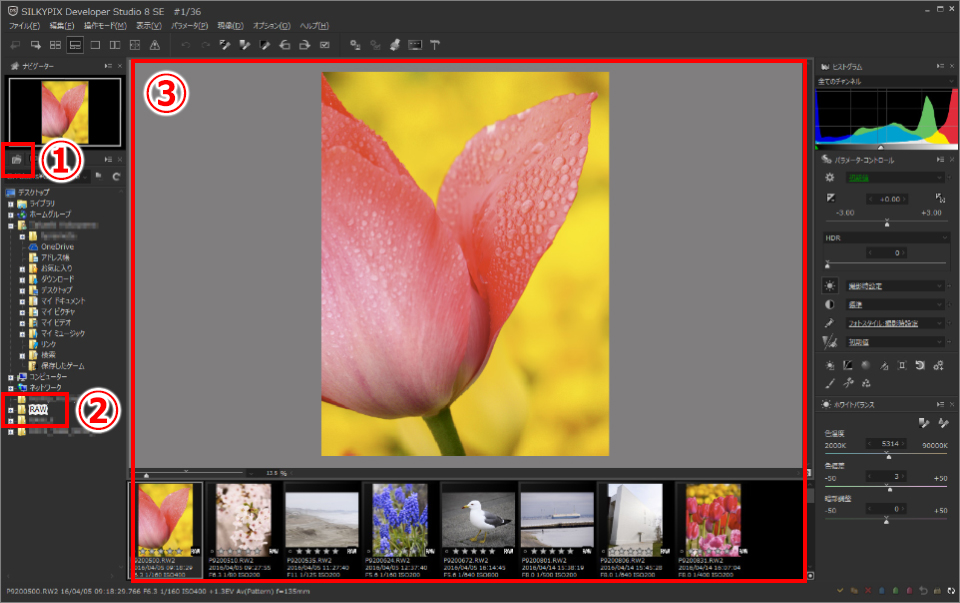 フォルダ単位でRAWデータを開く手順