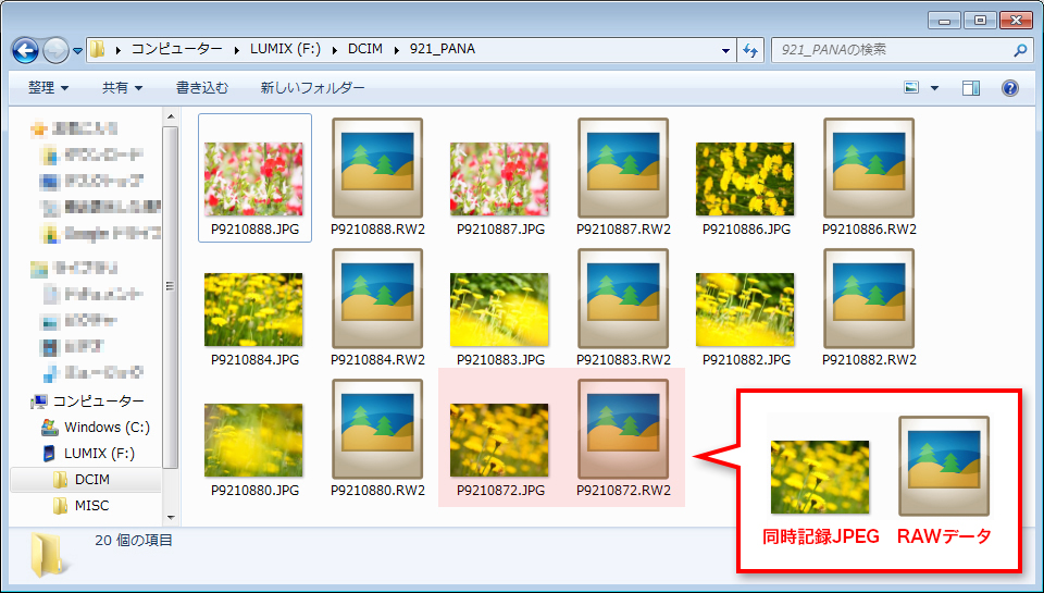 フォルダ内の同時記録JPEGとRAWデータ