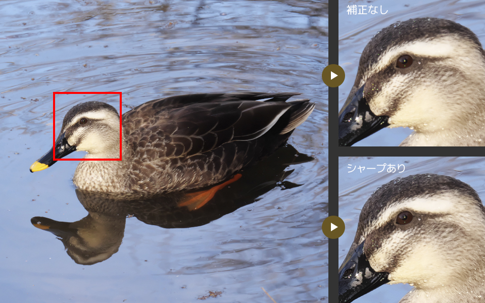 作例: 補正なし シャープあり