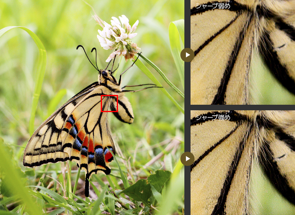 作例: シャープ弱め シャープ強め