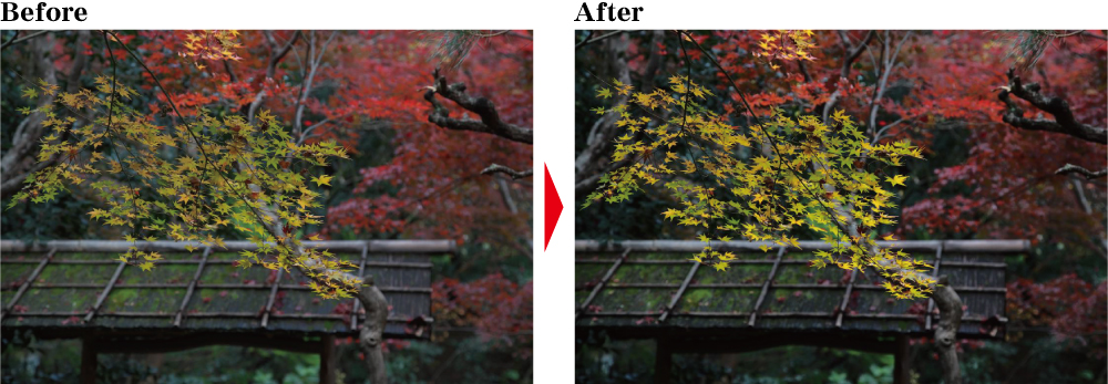 紅葉を引き立たせる調整方法