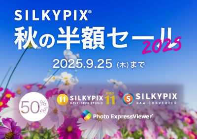 秋の半額セール 2025
