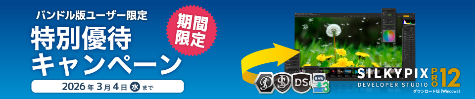 バンドル版ユーザー限定 特別優待キャンペーン