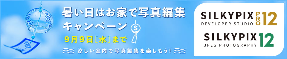 暑い日はお家で写真編集キャンペーン